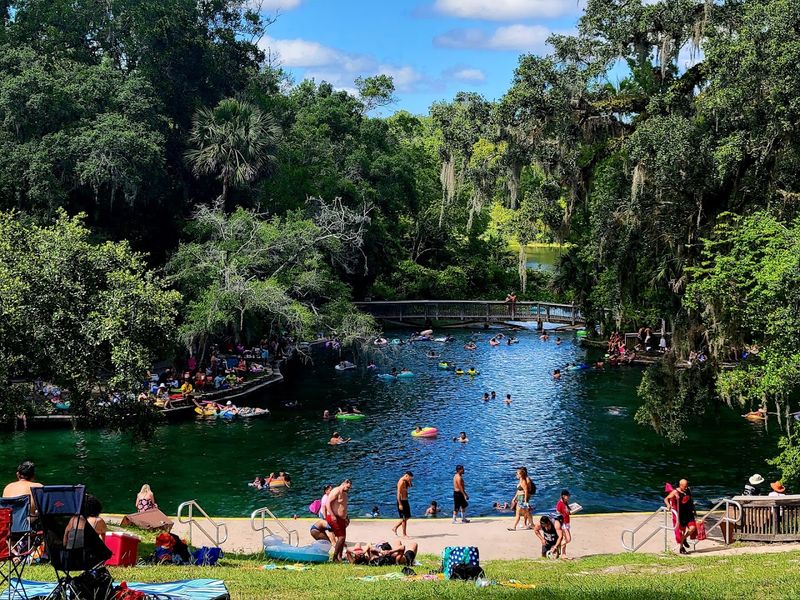 Swim at Wekiwa Springs State Park