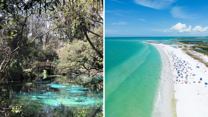 15 Cheap Adventures in Florida That Are Perfect for June Travelers