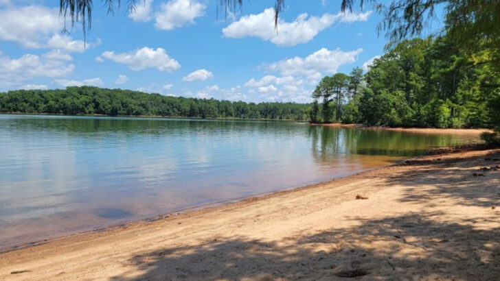 15 Gorgeous Lakes In Georgia That Are Perfect For Spring Days