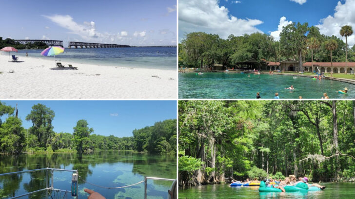 15 Parks in Florida That Are Perfect for June Heat and Sunshine