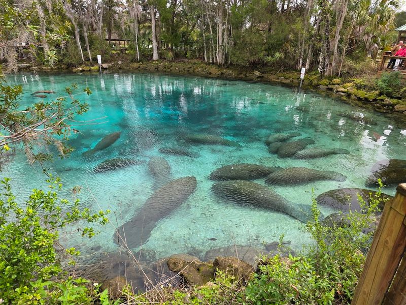 Crystal River National Wildlife Refuge