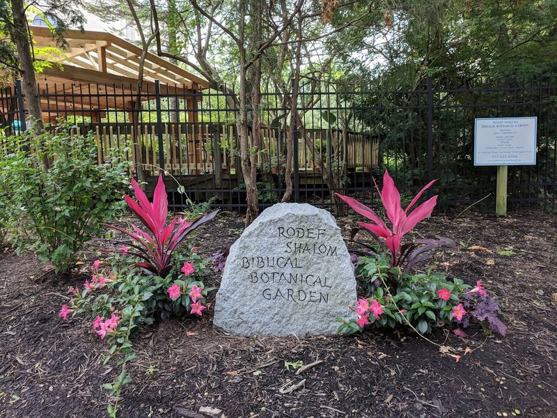 The Vision Behind the Garden