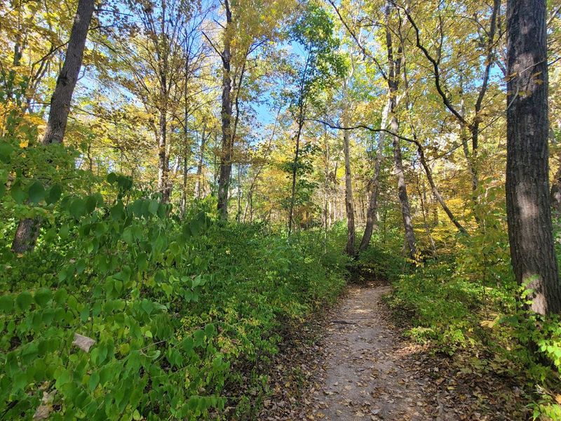 The Trails Deliver Variety
