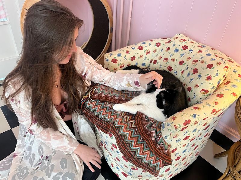 Small Group Sessions for an Intimate Cat Experience