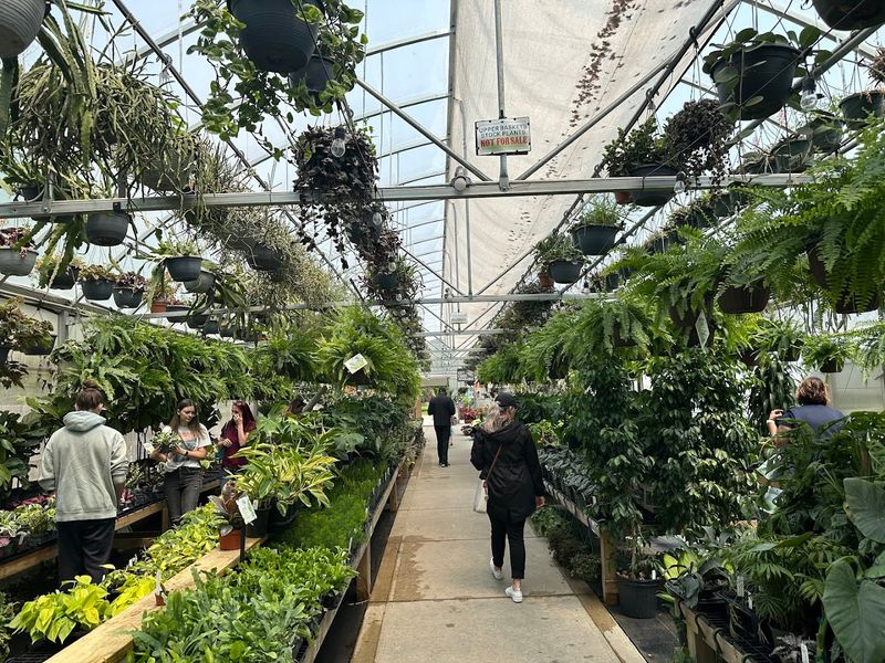 The Private Collection Window That Sparks Plant Dreams