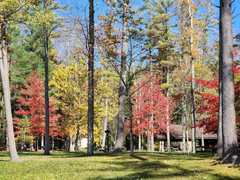 Why Fall Is One Of The Best Times To Visit