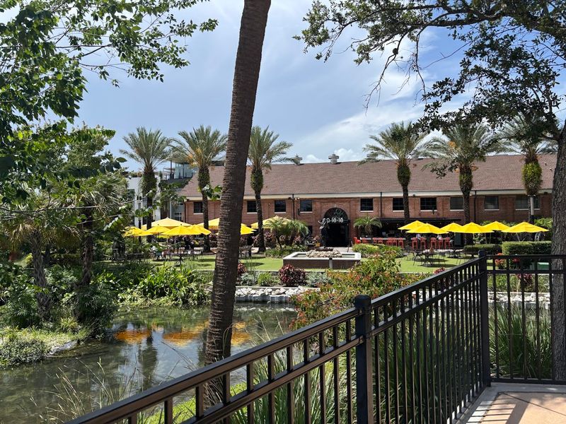 Dining Under the Florida Sky