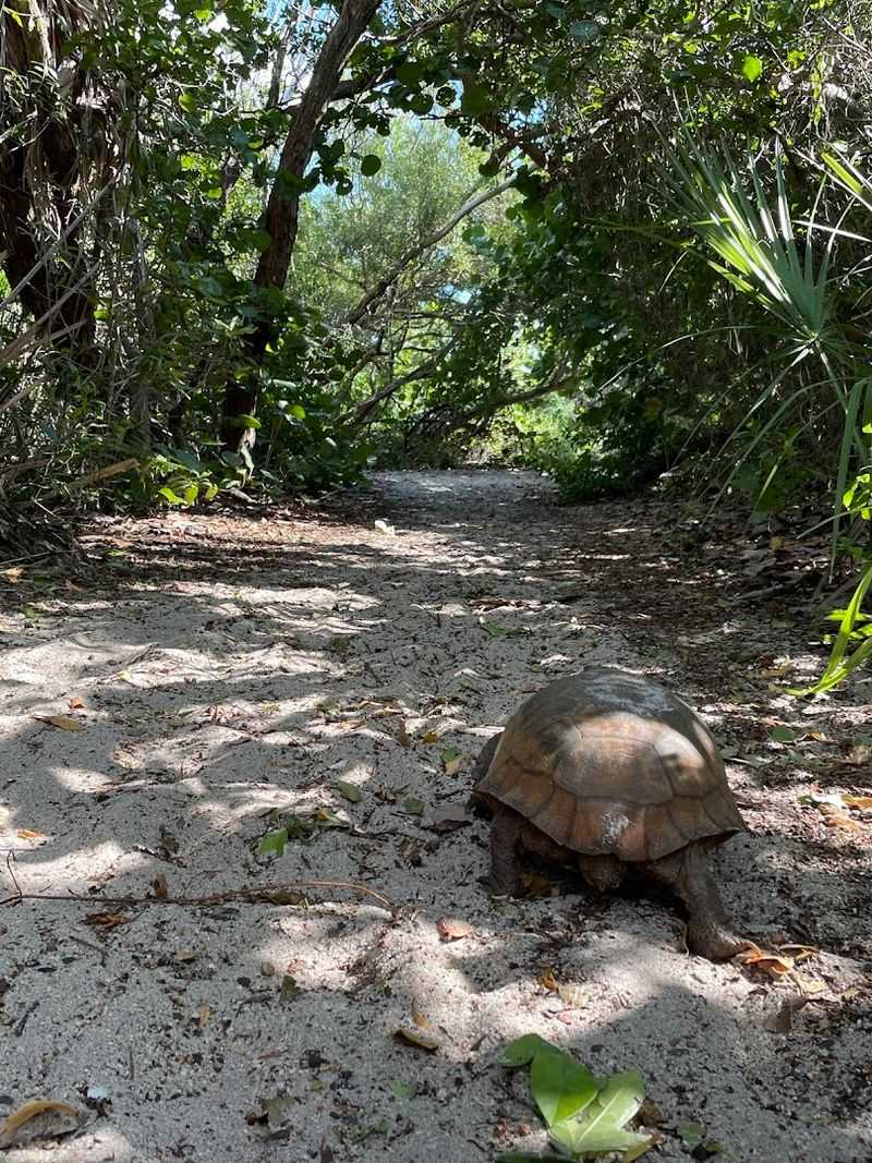 A Scenic Hiking Trail Through Five Natural Ecosystems