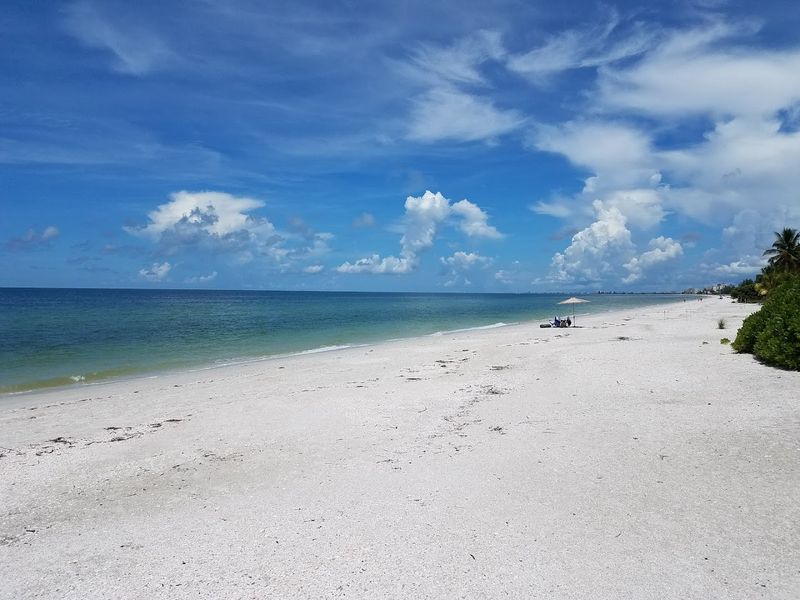 Barefoot Beach Preserve