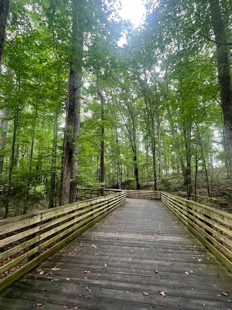 The Arabia Mountain PATH Trail Adventure