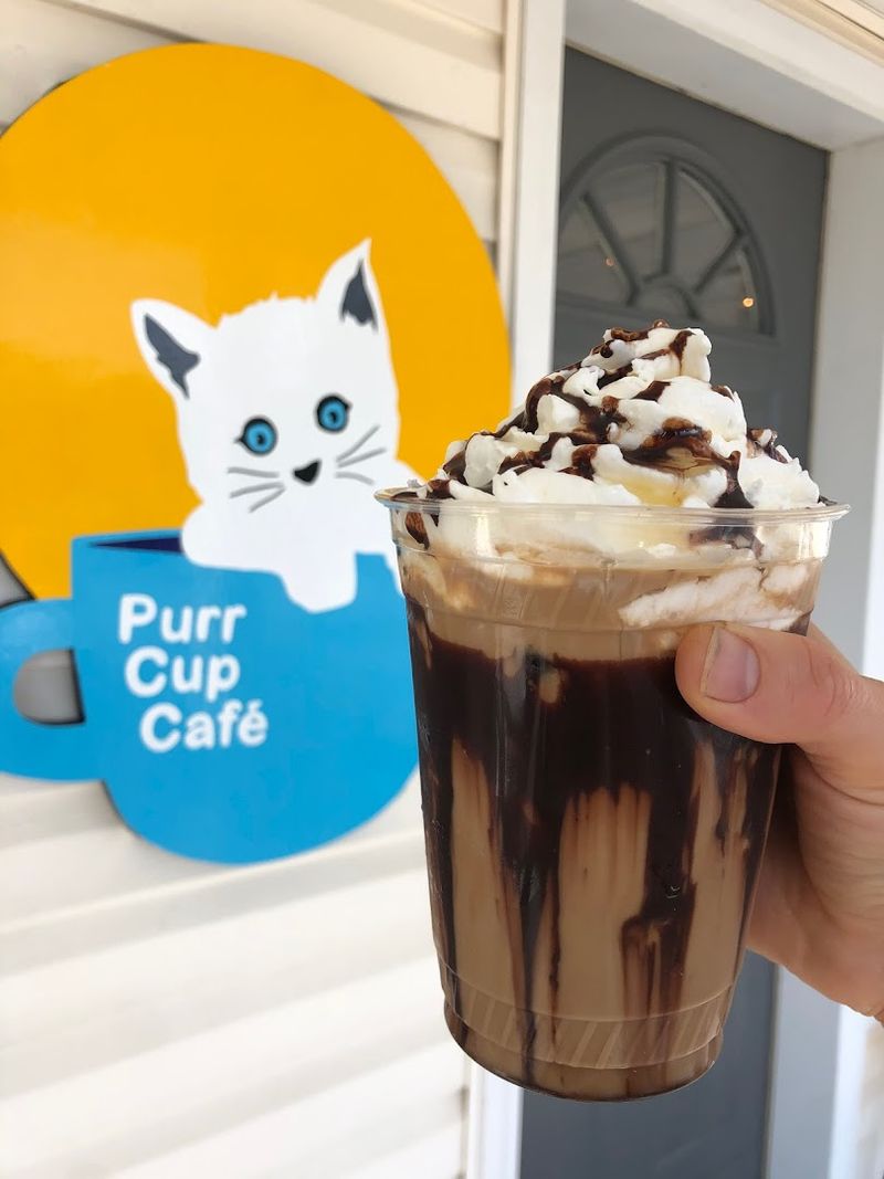 A Fully Vegan Drink and Snack Menu