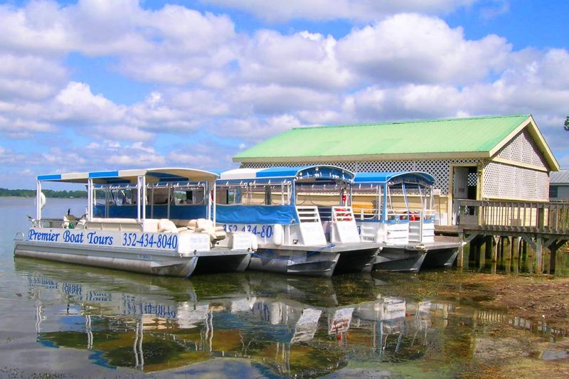 Premier Boat Tours: A Calm Start on the Water