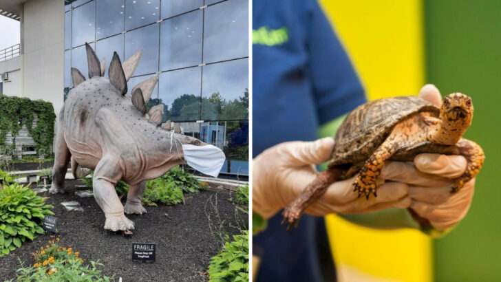A Science Museum, Wildlife Stop, And Nature Walk All Fit Into One Massachusetts Family Trip