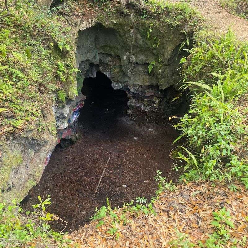 When Rain Changes the Cave