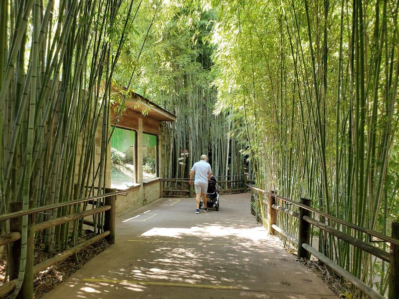 Shaded Walking Paths Make Spring Visits Comfortable