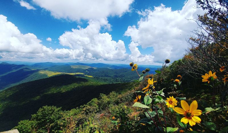 Elk Knob State Park, Watauga County