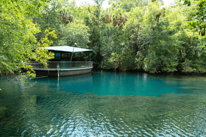 Homosassa Springs, Citrus County