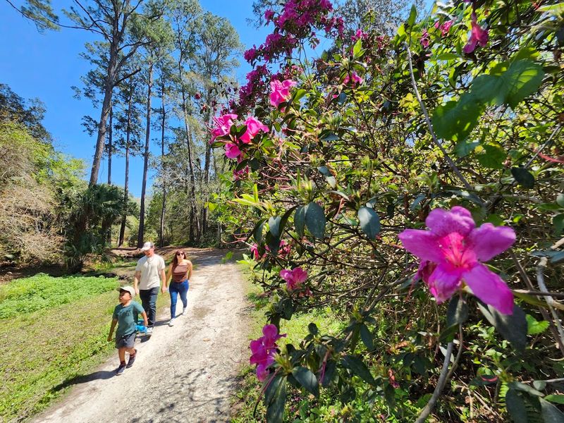 Azalea Gardens at Ravine Gardens State Park