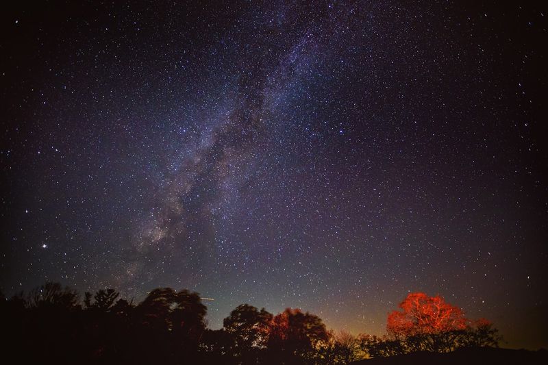 Incredible Variety of Celestial Objects Visible Throughout the Year