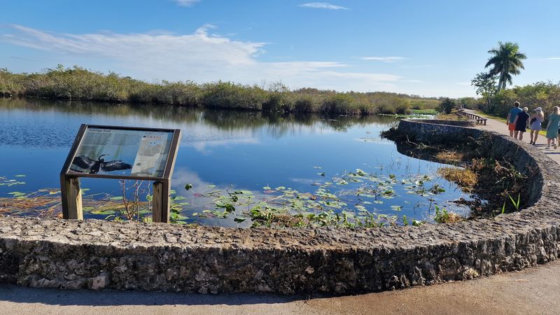 Anhinga Trail Bird Watching Paradise