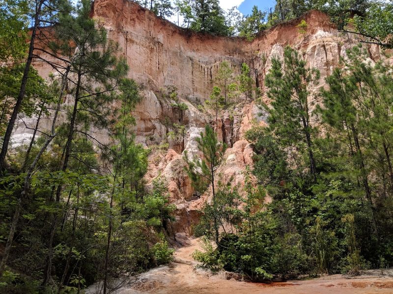 Providence Canyon State Park (Canyon Loop Trail) 