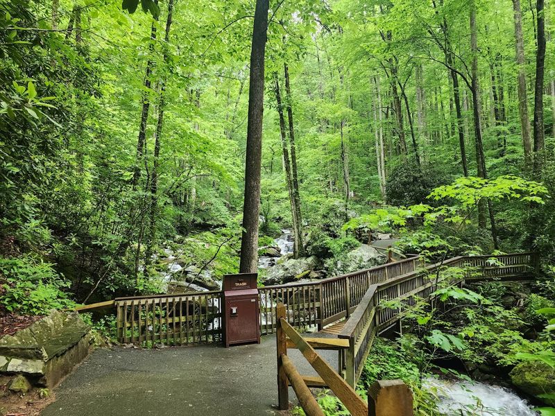 Anna Ruby Falls Trail