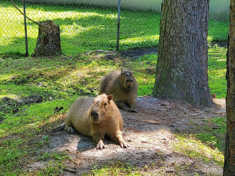 Visitor Information And Smart Tips Before You Go
