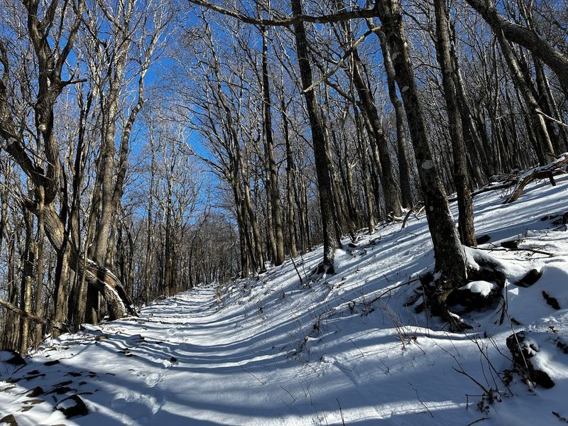 Winter Wonderland Recreation
