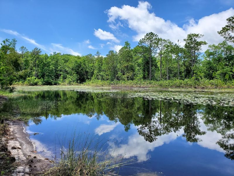 Crystal-Clear Springs and Waterways