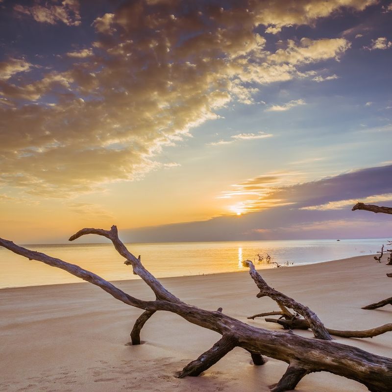 Boneyard Beach at Big Talbot Island