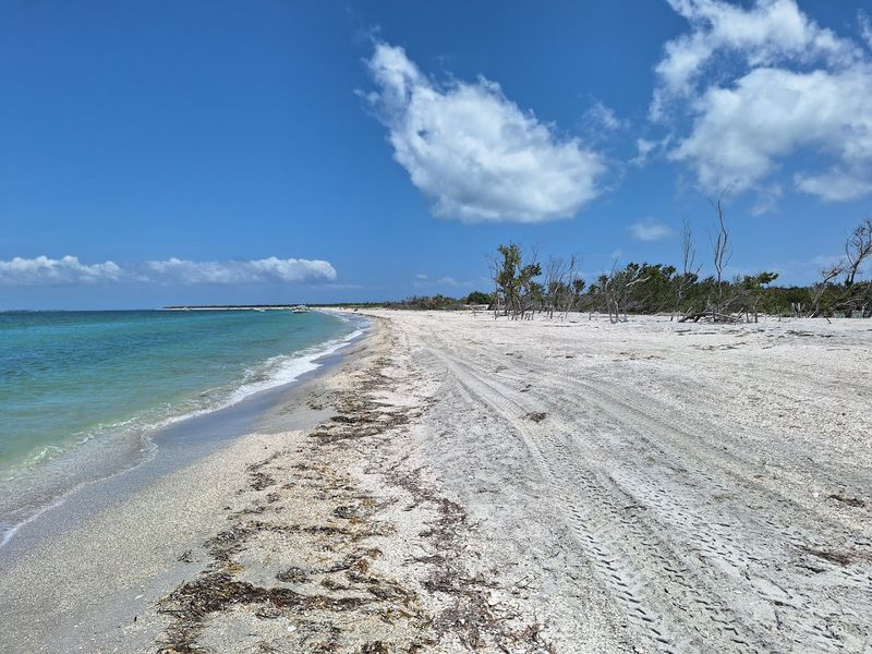 Cayo Costa State Park