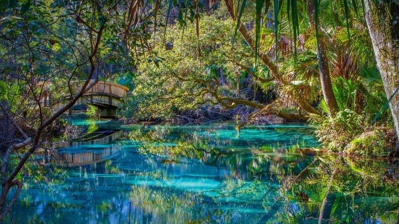 Ocala National Forest