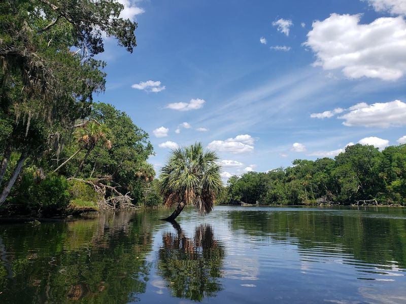Chassahowitzka River