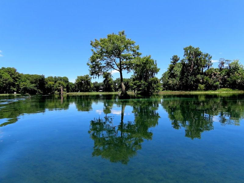 Withlacoochee River (Central FL)