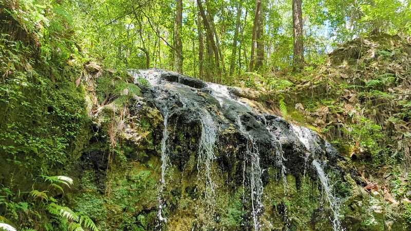 Falling Waters State Park