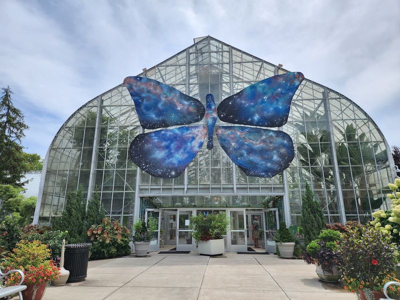 Butterfly Show at Krohn Conservatory