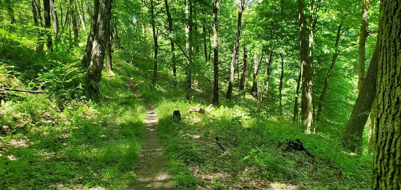 Laurel Highlands Hiking Trail