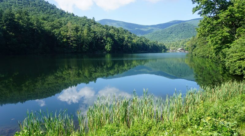 Vogel State Park (Trahlyta Lake Trail) 