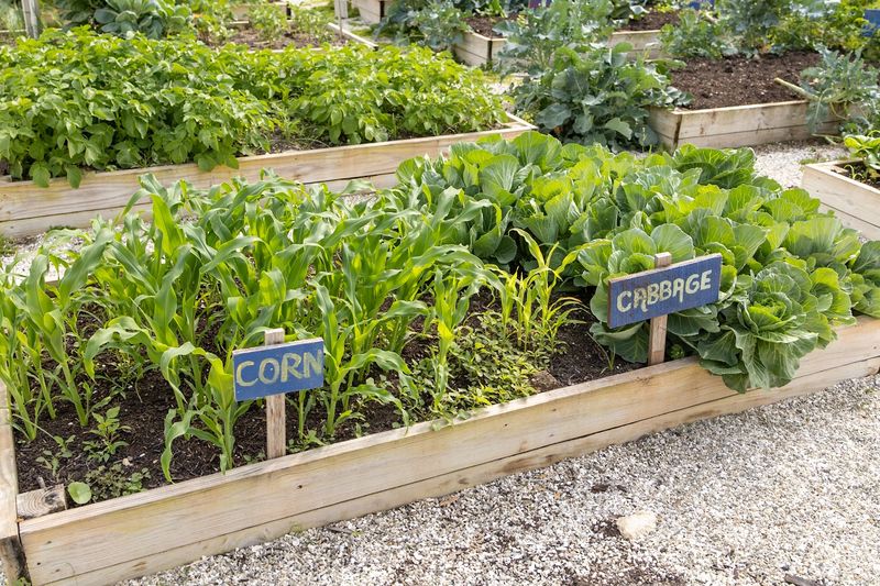 Sustainable Garden Systems