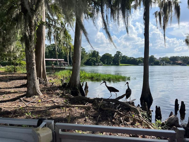 Wildlife Watching in Urban Wilderness