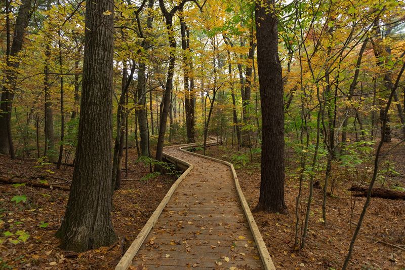 Garden in the Woods