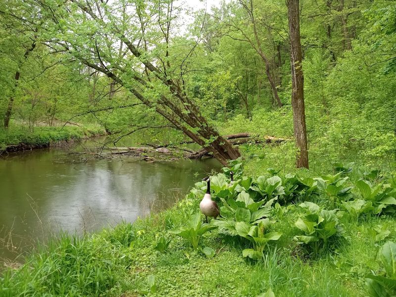 Wildlife and Seasonal Natural Beauty