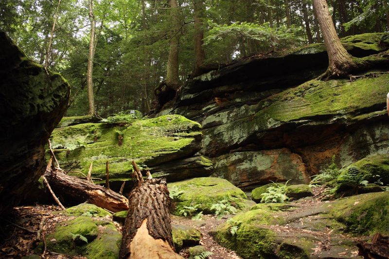 Ledges Trail