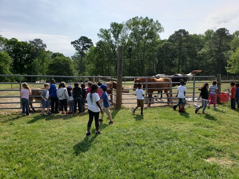 Learning Adventures for Curious Young Minds