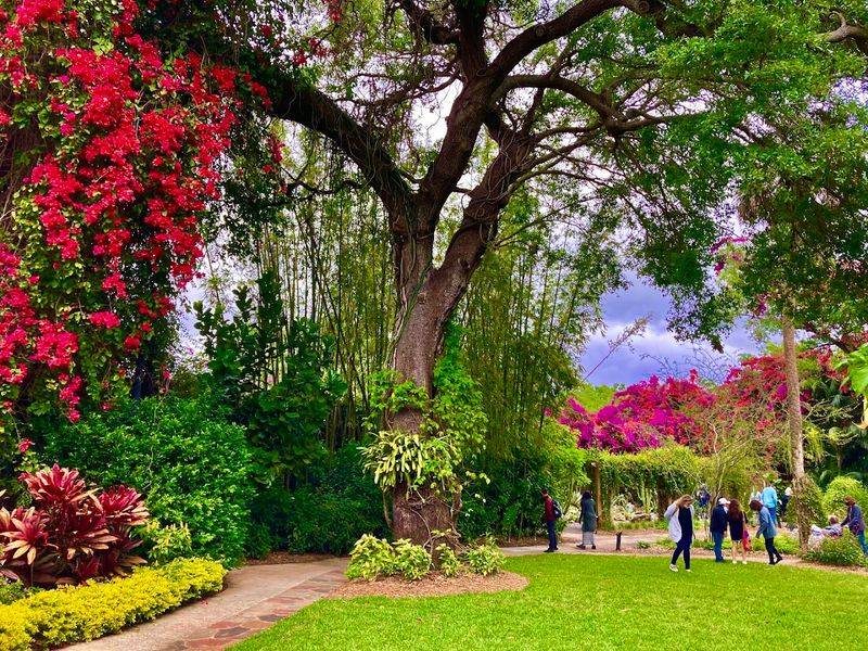 The Sunken Gardens Tropical Blooms