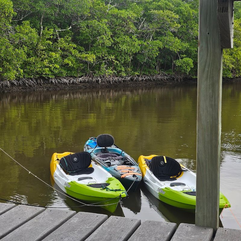 Mangrove Tunnels That Feel Like Natural Secret Passages