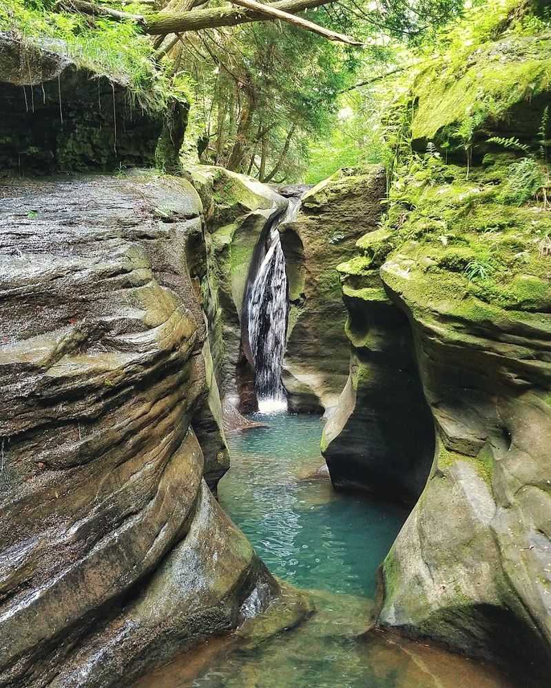 Boch Hollow State Nature Preserve Trails