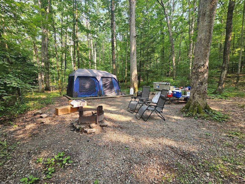 Locust Lake State Park