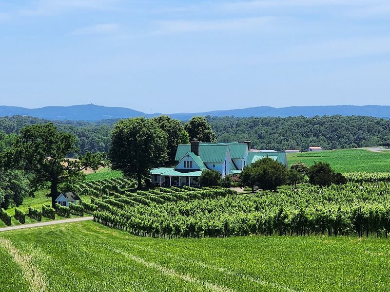 Shelton Vineyards Overlook Area