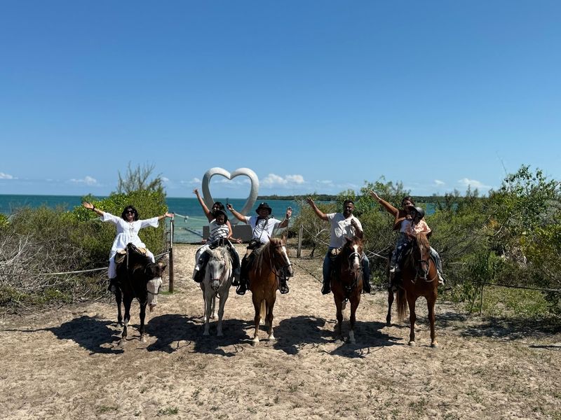 Palomino Ranch & Tours LLC &mdash; Key Biscayne, Florida